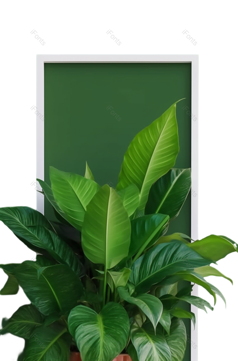 叶子图片,边框元素,装饰PNG,清新免抠素材